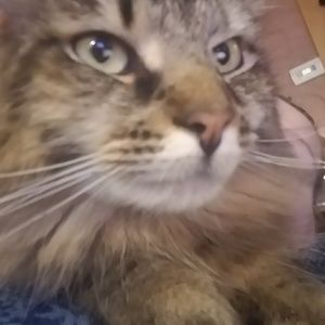 Meet your Posher, Aubrie